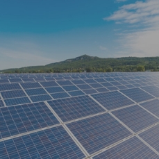 ppa energía