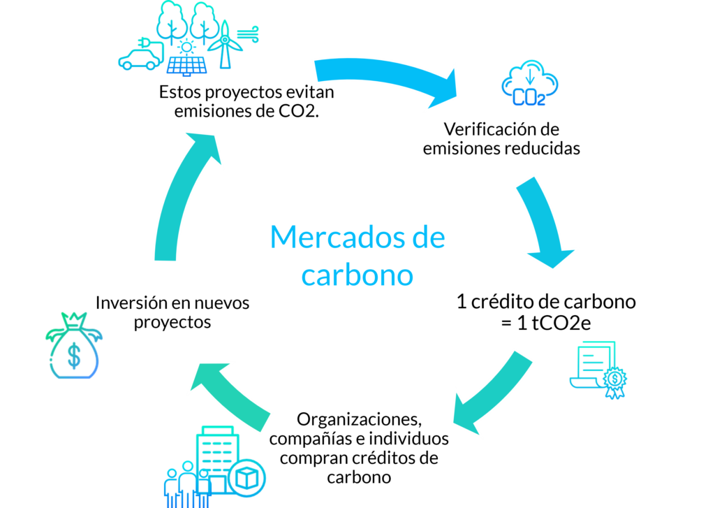 creditosde carbono