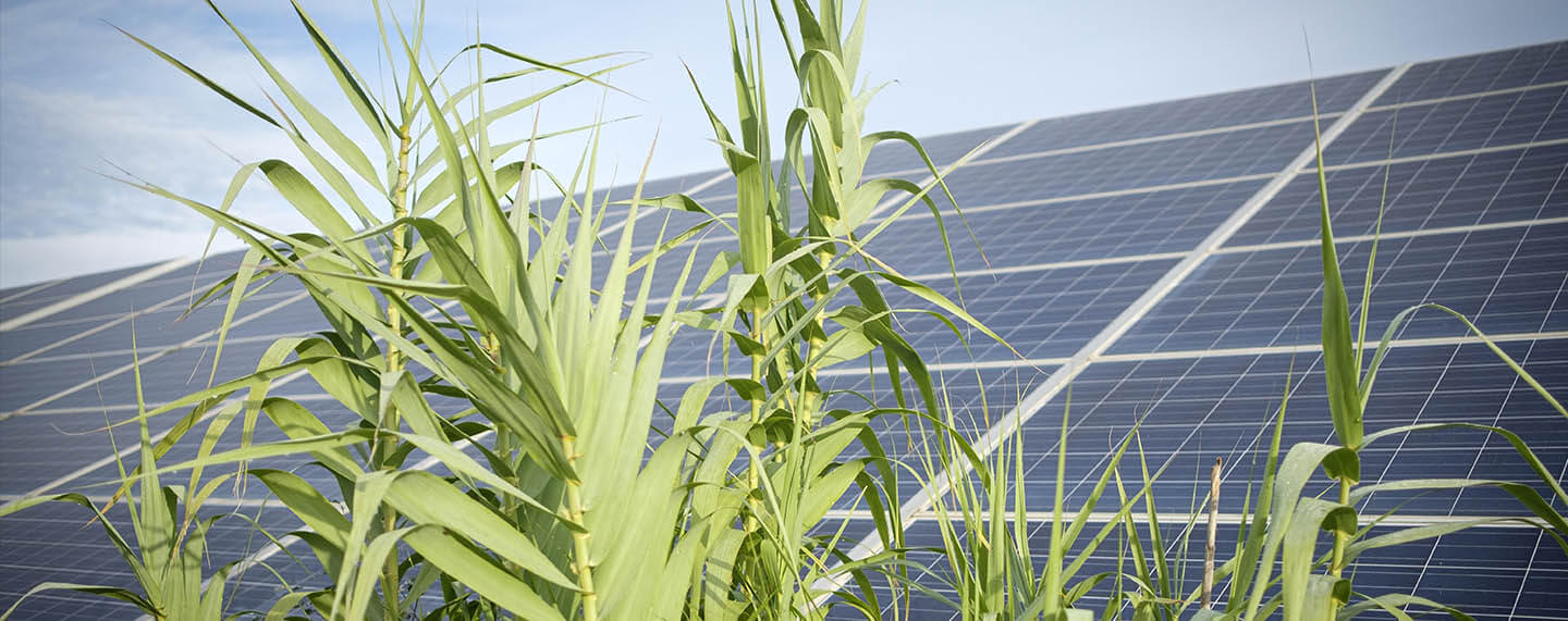 externalización de activos energéticos