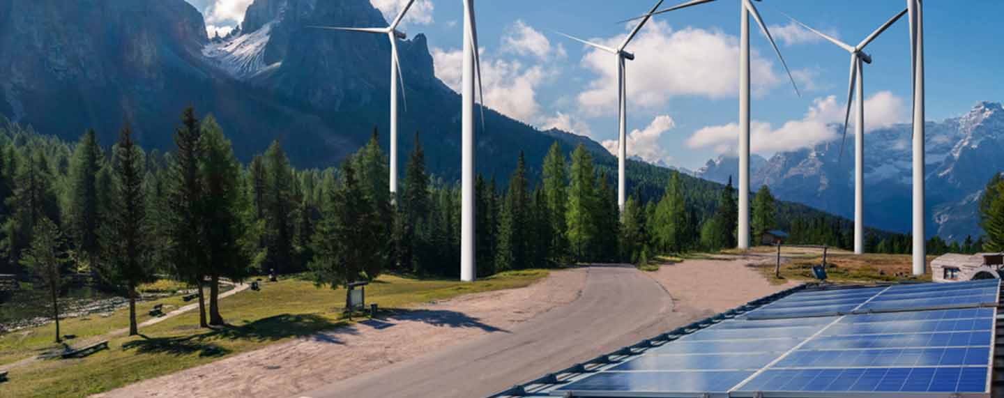 energias renovables y biodiversidad