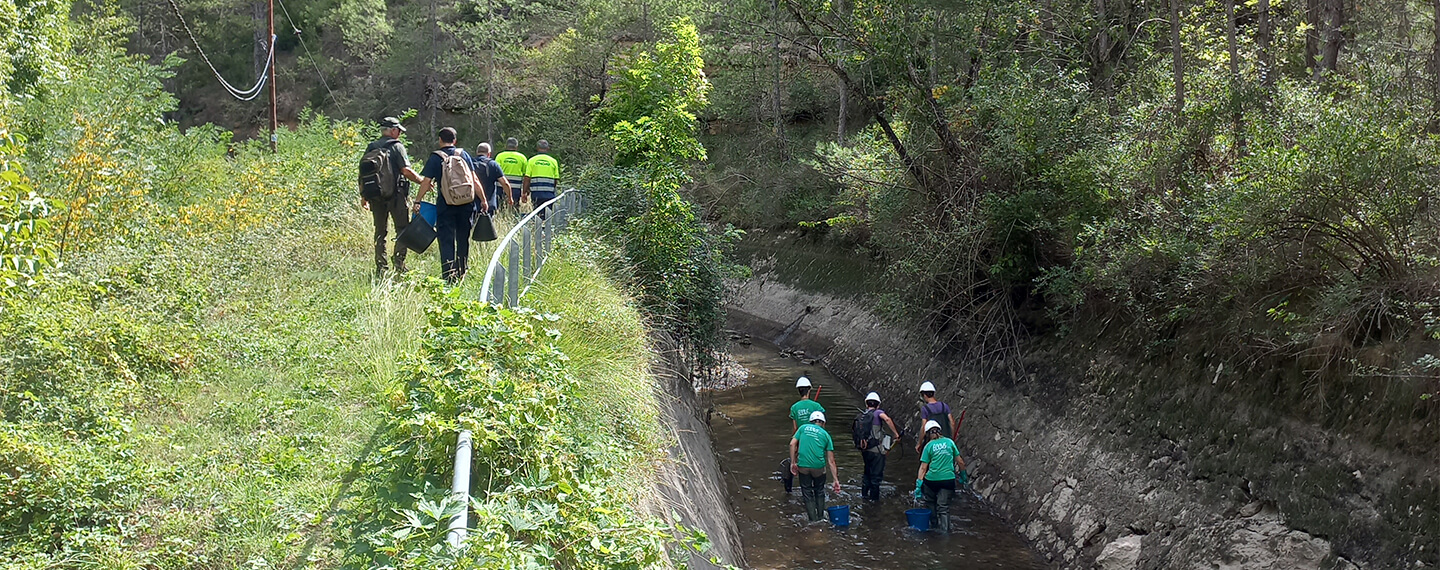 biodiversidad y el medio ambiente