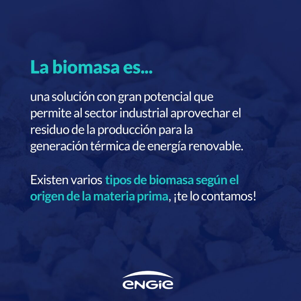 Tipos de biomasa: clasificación y usos en energía renovable - ENGIE España