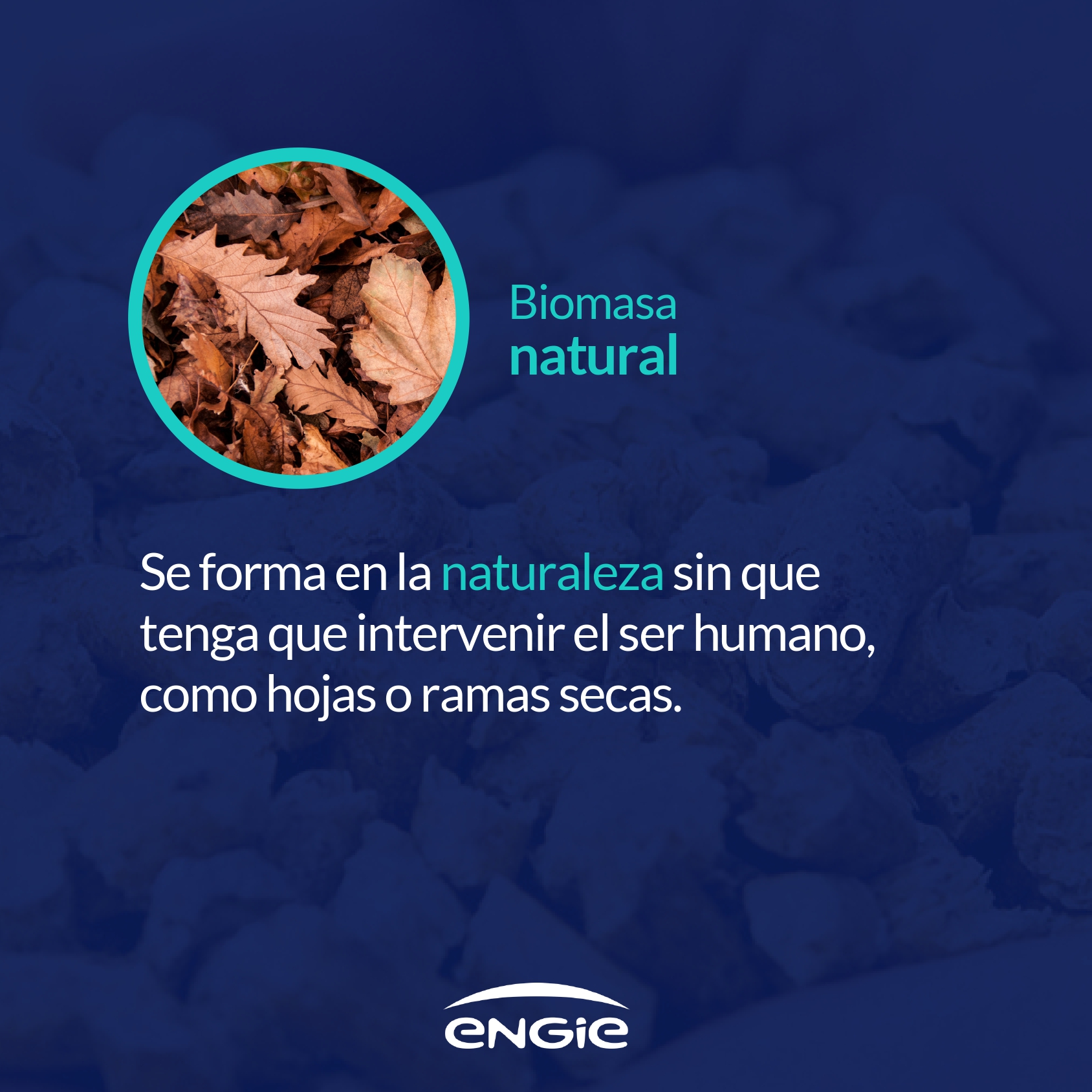 Tipos de combustibles de biomasa para producir energía renovable en España
