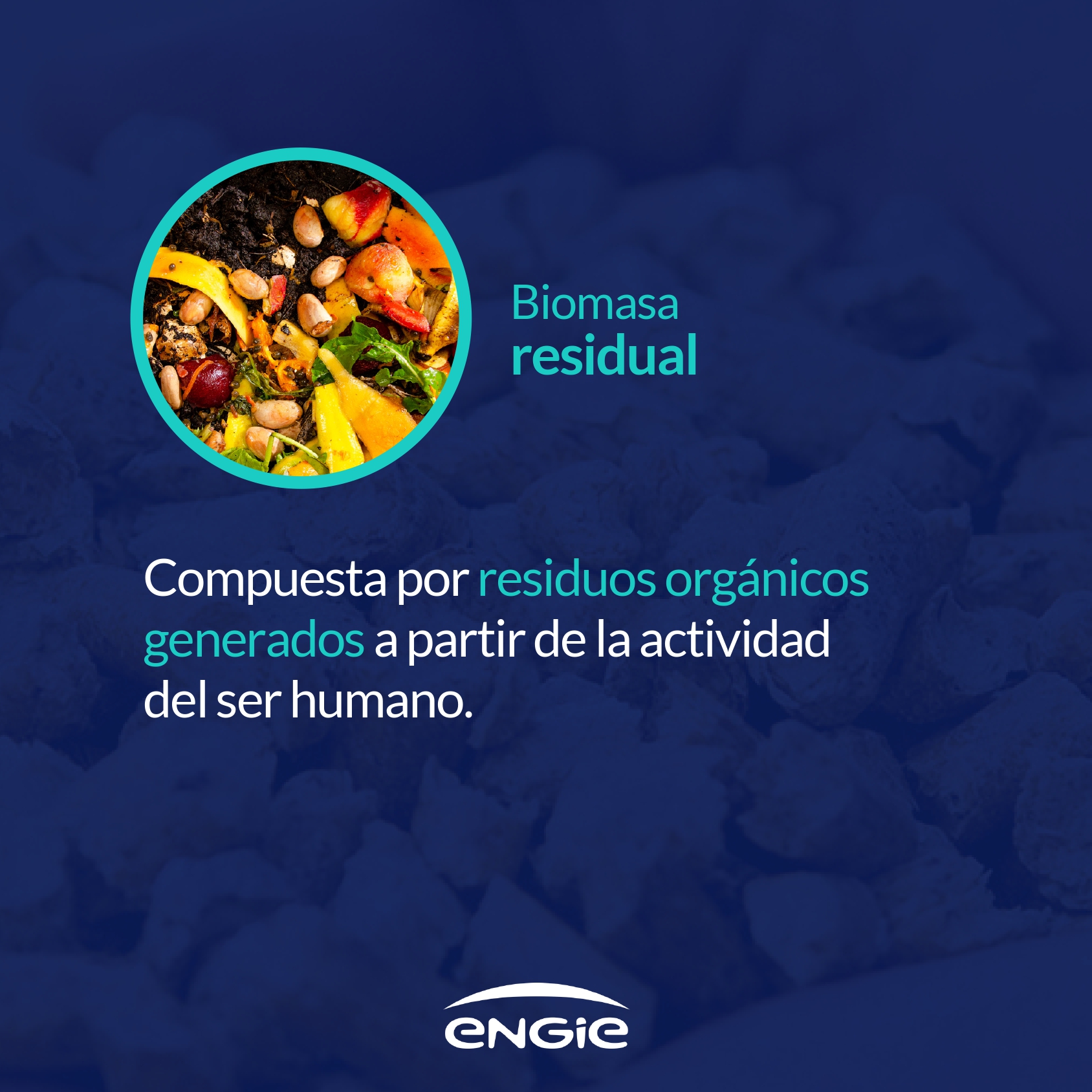 Tipos de combustibles de biomasa para producir energía renovable en España