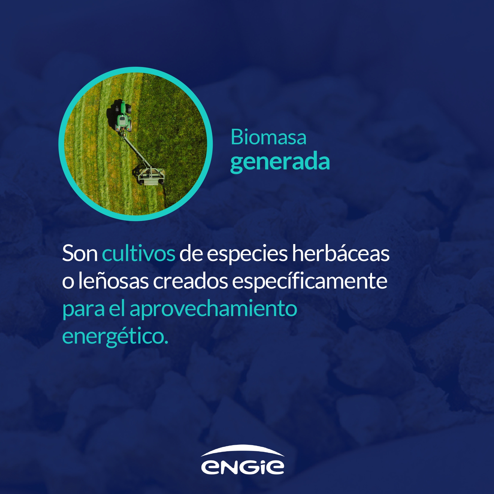 Tipos de combustibles de biomasa para producir energía renovable en España
