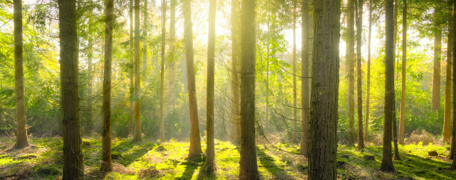 Nature Business Ambition Forum: ‘El momento de la acción’