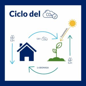 ENGIE gráficos artículos (2) ciclo del agua en la biomasa