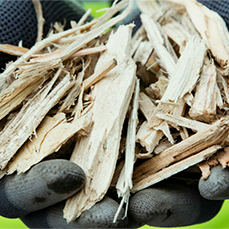 biomasa madera