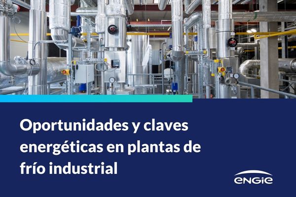 Oportunidades y claves energéticas en plantas de frío industrial