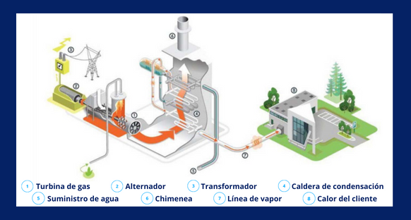 26 proceso
