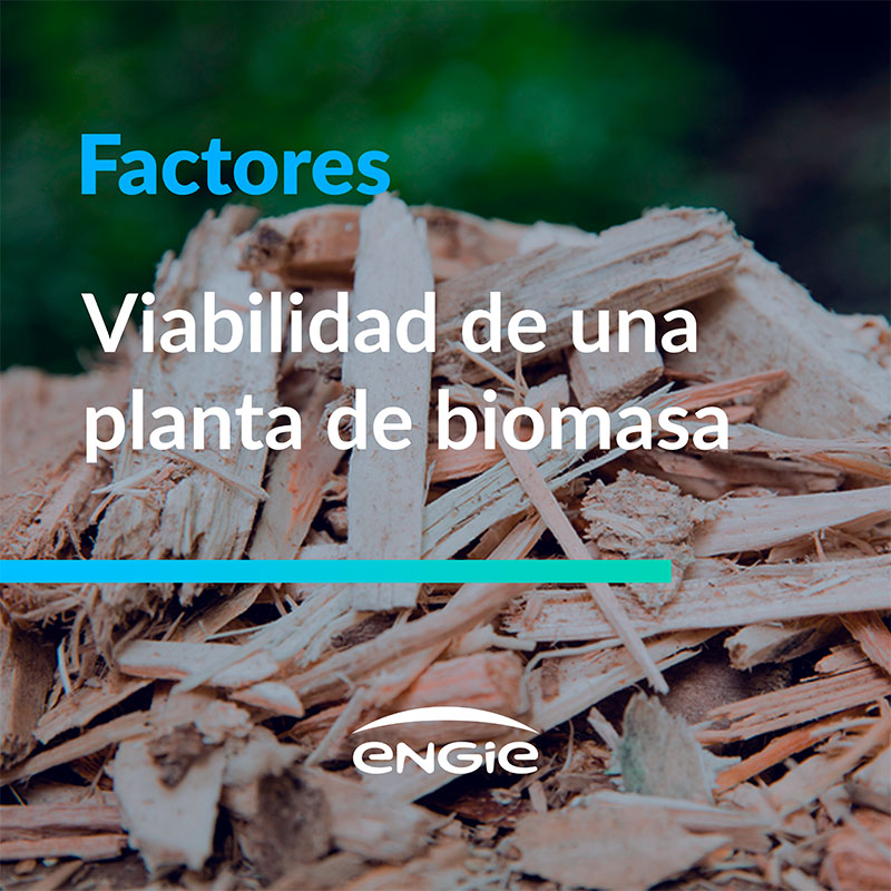 Viabilidad de una Planta de biomasa
