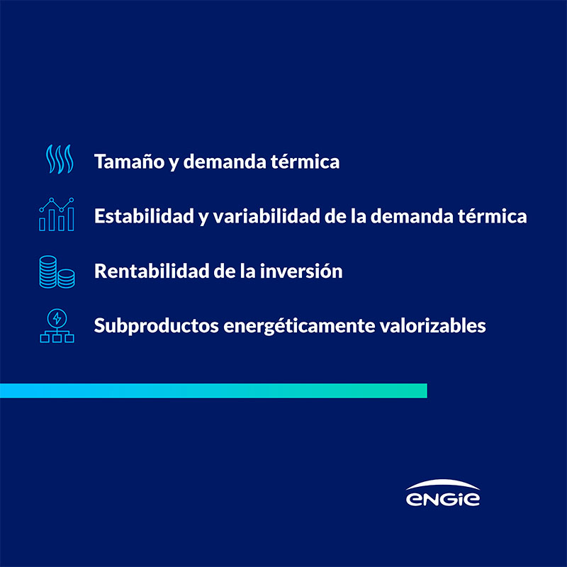 Viabilidad de una Planta de biomasa