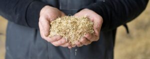 La sostenibilidad de la biomasa en España