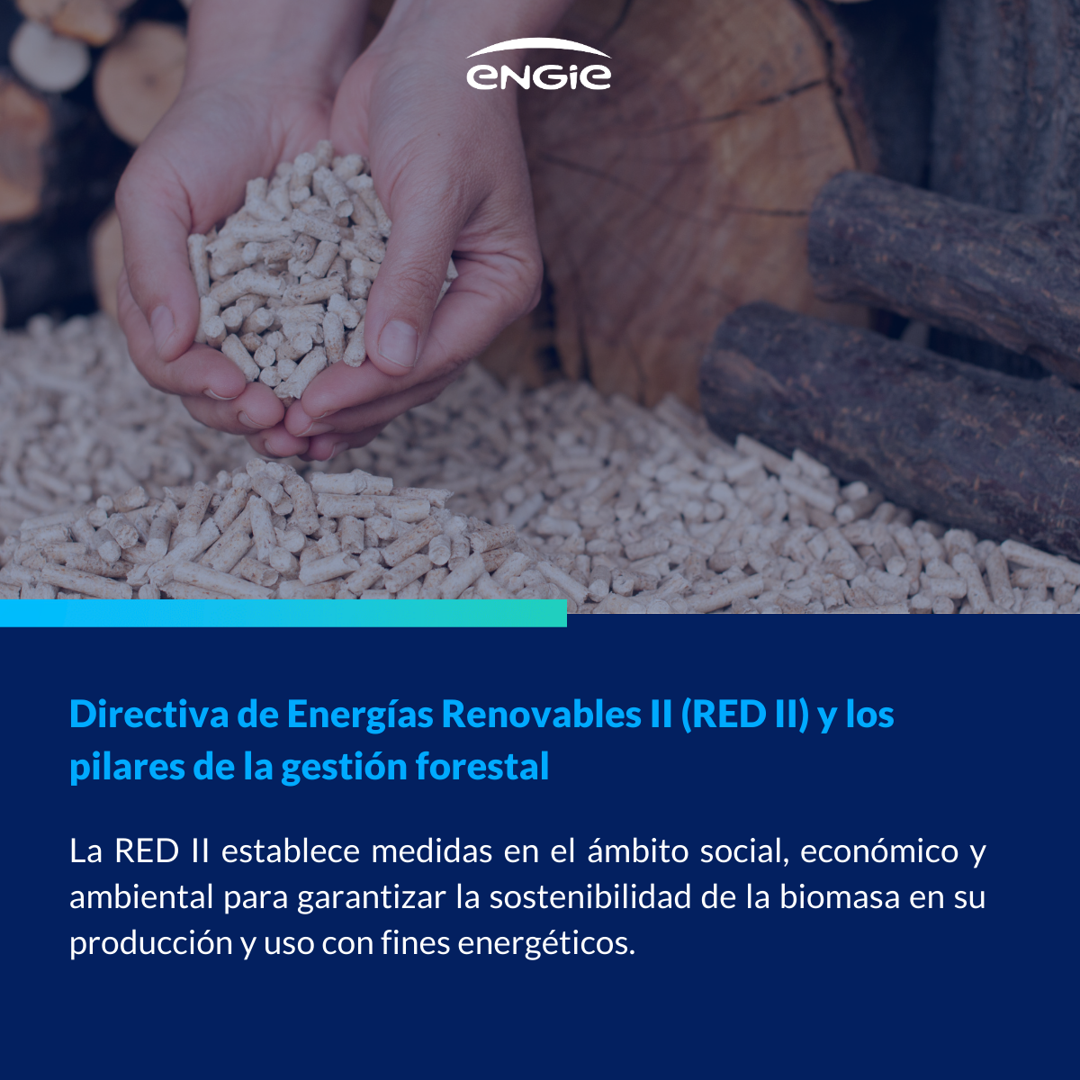 La sostenibilidad de la biomasa en España