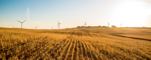 La sociedad española está dispuesta a cambiar sus hábitos para actuar frente al cambio climático, según un informe de ENGIE y beBartlet