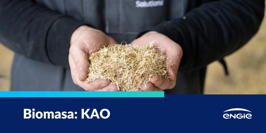 KAO