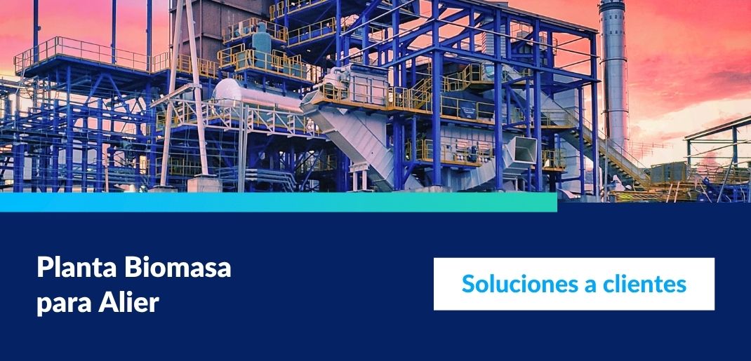 planta biomasa