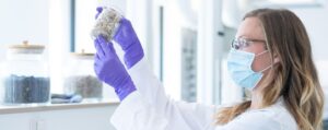 ¿Cómo reducir emisiones y ganar estabilidad en costes en el sector químico?