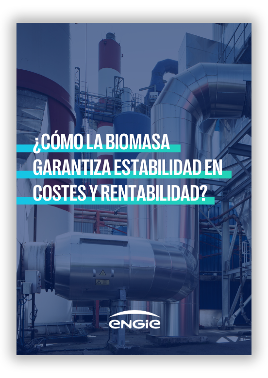 Guía biomasa