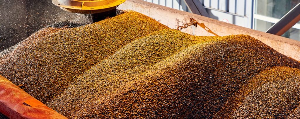 Sector Agroalimentario