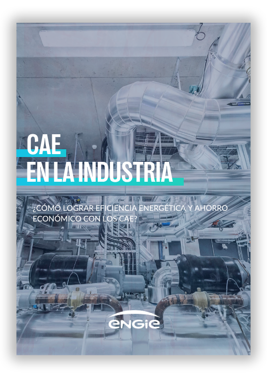 guia CAE II