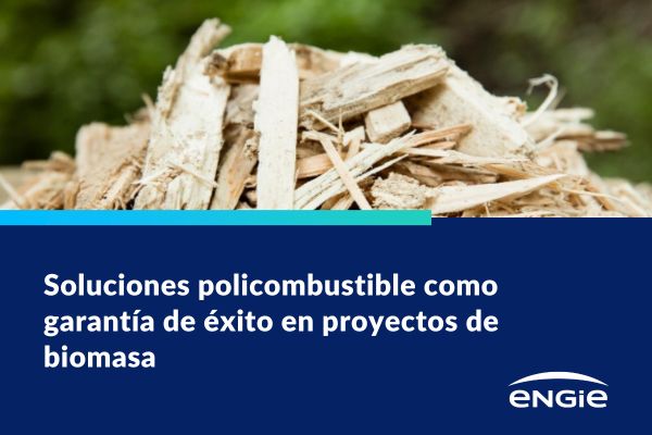 Soluciones policombustible como garantía de éxito en proyectos de biomasa