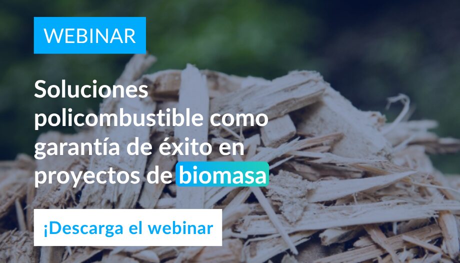 descarga webinar soluciones policombustibles